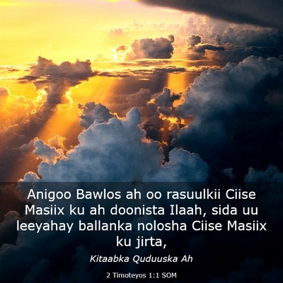 Picture 03 - 2 Timoteyos 1:1 SOM - Anigoo Bawlos ah oo rasuulkii Ciise Masiix ku ah - Bible Verse Picture