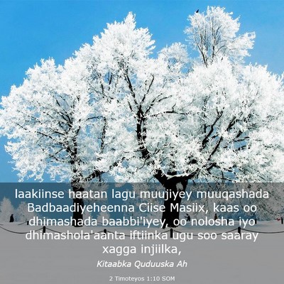 Picture 03 - 2 Timoteyos 1:10 SOM - laakiinse haatan lagu muujiyey muuqashada - Bible Verse Picture