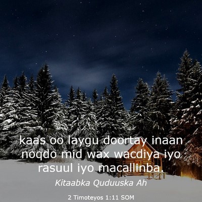 Picture 03 - 2 Timoteyos 1:11 SOM - kaas oo laygu doortay inaan noqdo mid wax wacdiya - Bible Verse Picture