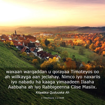 Picture 03 - 2 Timoteyos 1:2 SOM - waxaan warqaddan u qorayaa Timoteyos oo ah - Bible Verse Picture