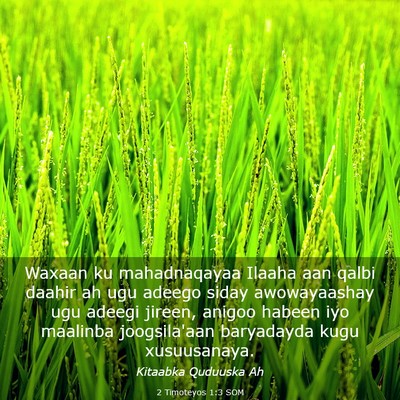 Picture 03 - 2 Timoteyos 1:3 SOM - Waxaan ku mahadnaqayaa Ilaaha aan qalbi daahir ah - Bible Verse Picture