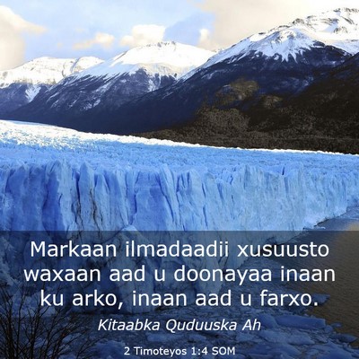 Picture 03 - 2 Timoteyos 1:4 SOM - Markaan ilmadaadii xusuusto waxaan aad u doonayaa - Bible Verse Picture