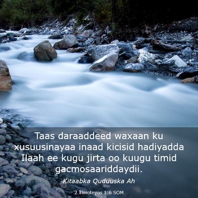 Picture 03 - 2 Timoteyos 1:6 SOM - Taas daraaddeed waxaan ku xusuusinayaa inaad - Bible Verse Picture