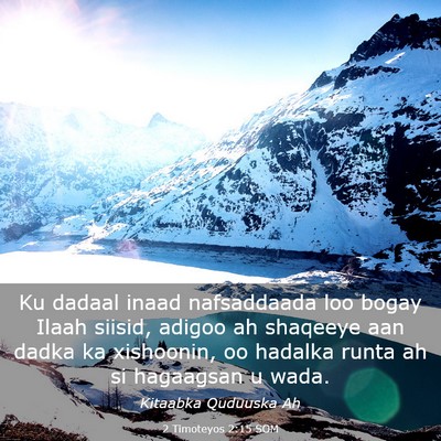 Picture 03 - 2 Timoteyos 2:15 SOM - Ku dadaal inaad nafsaddaada loo bogay Ilaah - Bible Verse Picture