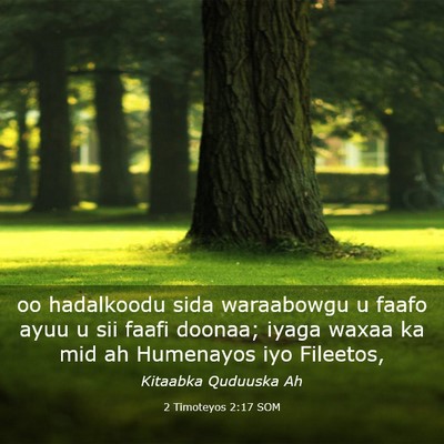 Picture 03 - 2 Timoteyos 2:17 SOM - oo hadalkoodu sida waraabowgu u faafo ayuu u sii - Bible Verse Picture