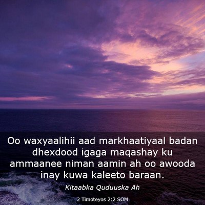 Picture 03 - 2 Timoteyos 2:2 SOM - Oo waxyaalihii aad markhaatiyaal badan dhexdood - Bible Verse Picture