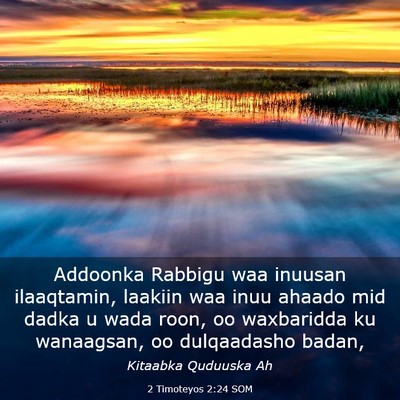 Picture 03 - 2 Timoteyos 2:24 SOM - Addoonka Rabbigu waa inuusan ilaaqtamin, laakiin - Bible Verse Picture