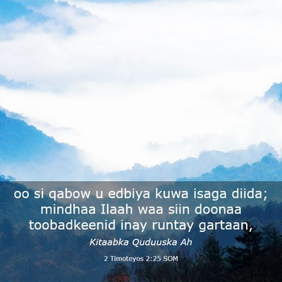 Picture 03 - 2 Timoteyos 2:25 SOM - oo si qabow u edbiya kuwa isaga diida; mindhaa - Bible Verse Picture