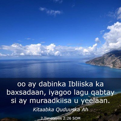 Picture 03 - 2 Timoteyos 2:26 SOM - oo ay dabinka Ibliiska ka baxsadaan, iyagoo lagu - Bible Verse Picture