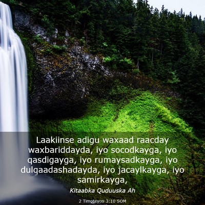 Picture 03 - 2 Timoteyos 3:10 SOM - Laakiinse adigu waxaad raacday waxbariddayda, iyo - Bible Verse Picture