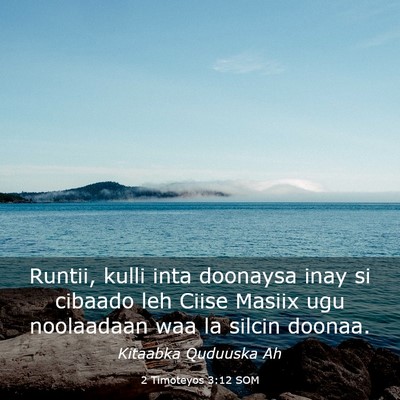 Picture 03 - 2 Timoteyos 3:12 SOM - Runtii, kulli inta doonaysa inay si cibaado leh - Bible Verse Picture
