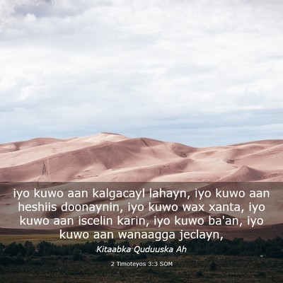 Picture 03 - 2 Timoteyos 3:3 SOM - iyo kuwo aan kalgacayl lahayn, iyo kuwo aan - Bible Verse Picture