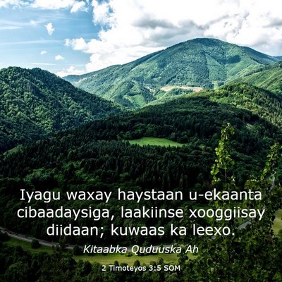 Picture 03 - 2 Timoteyos 3:5 SOM - Iyagu waxay haystaan u-ekaanta cibaadaysiga, - Bible Verse Picture