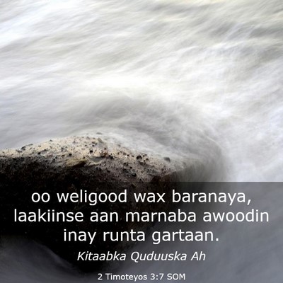 Picture 03 - 2 Timoteyos 3:7 SOM - oo weligood wax baranaya, laakiinse aan marnaba - Bible Verse Picture