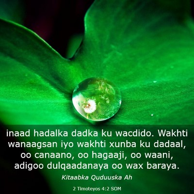 Picture 03 - 2 Timoteyos 4:2 SOM - inaad hadalka dadka ku wacdido. Wakhti wanaagsan - Bible Verse Picture