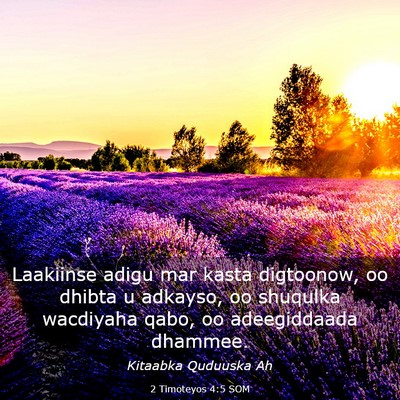 Picture 03 - 2 Timoteyos 4:5 SOM - Laakiinse adigu mar kasta digtoonow, oo dhibta u - Bible Verse Picture