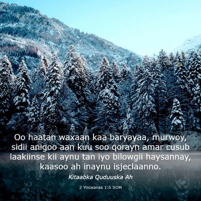 Picture 03 - 2 Yooxanaa 1:5 SOM - Oo haatan waxaan kaa baryayaa, murwoy, sidii - Bible Verse Picture
