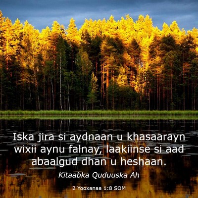 Picture 03 - 2 Yooxanaa 1:8 SOM - Iska jira si aydnaan u khasaarayn wixii aynu - Bible Verse Picture