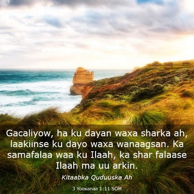 Picture 03 - 3 Yooxanaa 1:11 SOM - Gacaliyow, ha ku dayan waxa sharka ah, laakiinse - Bible Verse Picture