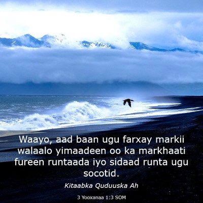 Picture 03 - 3 Yooxanaa 1:3 SOM - Waayo, aad baan ugu farxay markii walaalo - Bible Verse Picture