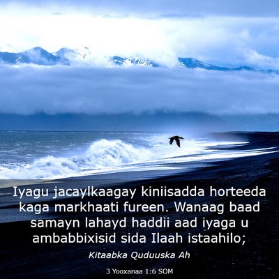 Picture 03 - 3 Yooxanaa 1:6 SOM - Iyagu jacaylkaagay kiniisadda horteeda kaga - Bible Verse Picture
