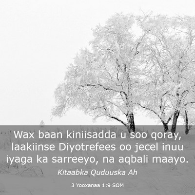 Picture 03 - 3 Yooxanaa 1:9 SOM - Wax baan kiniisadda u soo qoray, laakiinse - Bible Verse Picture