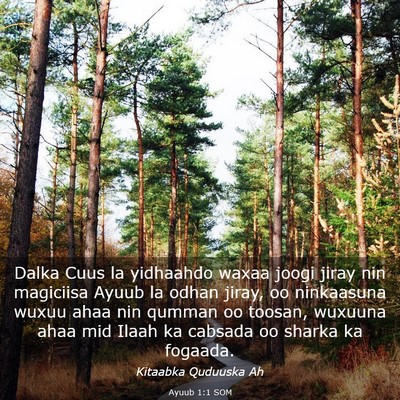 Picture 03 - Ayuub 1:1 SOM - Dalka Cuus la yidhaahdo waxaa joogi jiray nin - Bible Verse Picture