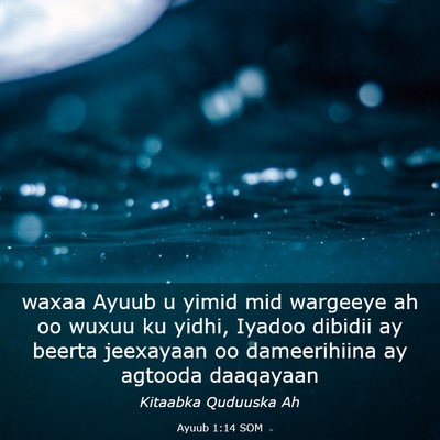 Picture 03 - Ayuub 1:14 SOM - waxaa Ayuub u yimid mid wargeeye ah oo wuxuu ku - Bible Verse Picture