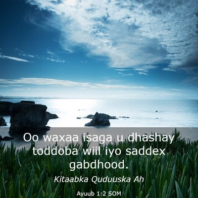 Picture 03 - Ayuub 1:2 SOM - Oo waxaa isaga u dhashay toddoba wiil iyo saddex - Bible Verse Picture