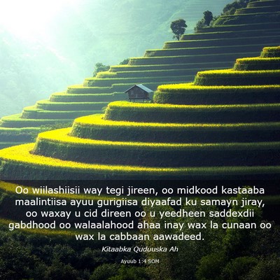 Picture 03 - Ayuub 1:4 SOM - Oo wiilashiisii way tegi jireen, oo midkood - Bible Verse Picture