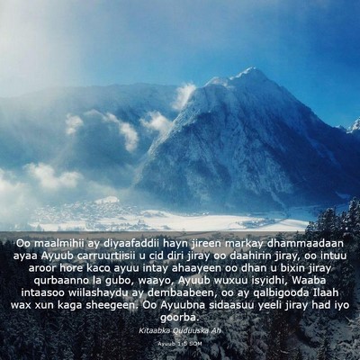 Picture 03 - Ayuub 1:5 SOM - Oo maalmihii ay diyaafaddii hayn jireen markay - Bible Verse Picture