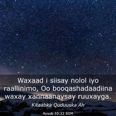 Picture 03 - Ayuub 10:12 SOM - Waxaad i siisay nolol iyo raallinimo, Oo - Bible Verse Picture