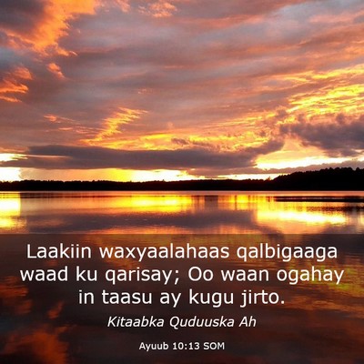 Picture 03 - Ayuub 10:13 SOM - Laakiin waxyaalahaas qalbigaaga waad ku qarisay; - Bible Verse Picture