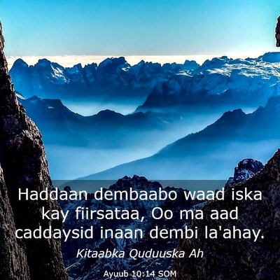 Picture 03 - Ayuub 10:14 SOM - Haddaan dembaabo waad iska kay fiirsataa, Oo ma - Bible Verse Picture