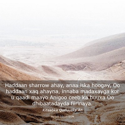Picture 03 - Ayuub 10:15 SOM - Haddaan sharrow ahay, anaa iska hoogay, Oo - Bible Verse Picture