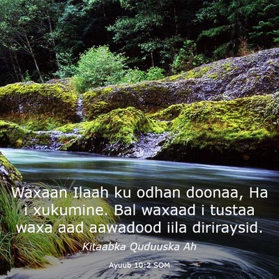 Picture 03 - Ayuub 10:2 SOM - Waxaan Ilaah ku odhan doonaa, Ha i xukumine. Bal - Bible Verse Picture