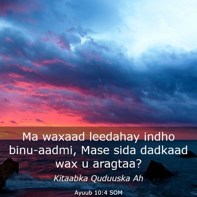 Picture 03 - Ayuub 10:4 SOM - Ma waxaad leedahay indho binu-aadmi, Mase sida - Bible Verse Picture