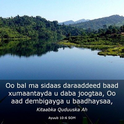 Picture 03 - Ayuub 10:6 SOM - Oo bal ma sidaas daraaddeed baad xumaantayda u - Bible Verse Picture