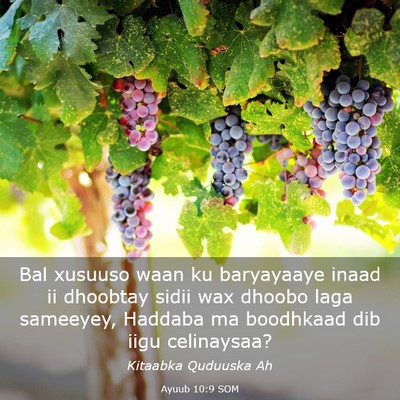 Picture 03 - Ayuub 10:9 SOM - Bal xusuuso waan ku baryayaaye inaad ii dhoobtay - Bible Verse Picture