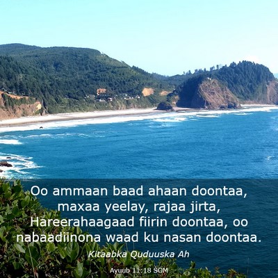 Picture 03 - Ayuub 11:18 SOM - Oo ammaan baad ahaan doontaa, maxaa yeelay, rajaa - Bible Verse Picture