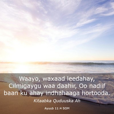 Picture 03 - Ayuub 11:4 SOM - Waayo, waxaad leedahay, Cilmigaygu waa daahir, Oo - Bible Verse Picture
