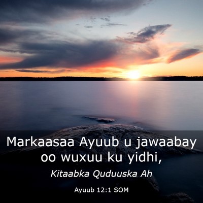 Picture 03 - Ayuub 12:1 SOM - Markaasaa Ayuub u jawaabay oo wuxuu ku - Bible Verse Picture