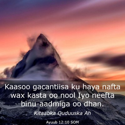 Picture 03 - Ayuub 12:10 SOM - Kaasoo gacantiisa ku haya nafta wax kasta oo nool - Bible Verse Picture