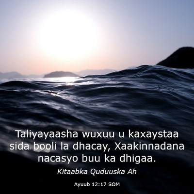 Picture 03 - Ayuub 12:17 SOM - Taliyayaasha wuxuu u kaxaystaa sida booli la - Bible Verse Picture