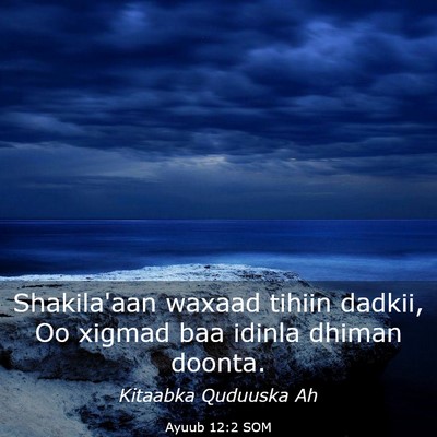 Picture 03 - Ayuub 12:2 SOM - Shakila'aan waxaad tihiin dadkii, Oo xigmad baa - Bible Verse Picture