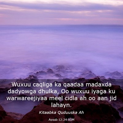 Picture 03 - Ayuub 12:24 SOM - Wuxuu caqliga ka qaadaa madaxda dadyowga dhulka, - Bible Verse Picture