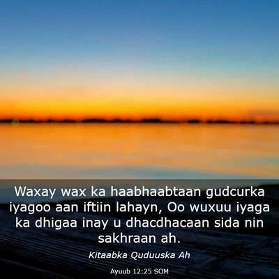 Picture 03 - Ayuub 12:25 SOM - Waxay wax ka haabhaabtaan gudcurka iyagoo aan - Bible Verse Picture