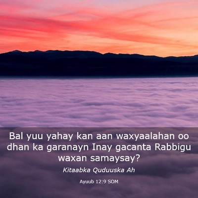 Picture 03 - Ayuub 12:9 SOM - Bal yuu yahay kan aan waxyaalahan oo dhan ka - Bible Verse Picture