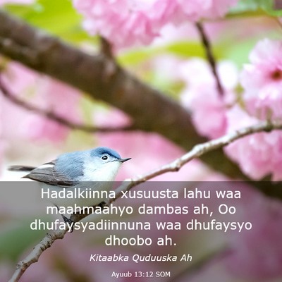 Picture 03 - Ayuub 13:12 SOM - Hadalkiinna xusuusta lahu waa maahmaahyo dambas - Bible Verse Picture