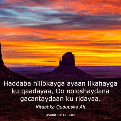 Picture 03 - Ayuub 13:14 SOM - Haddaba hilibkayga ayaan ilkahayga ku qaadayaa, - Bible Verse Picture